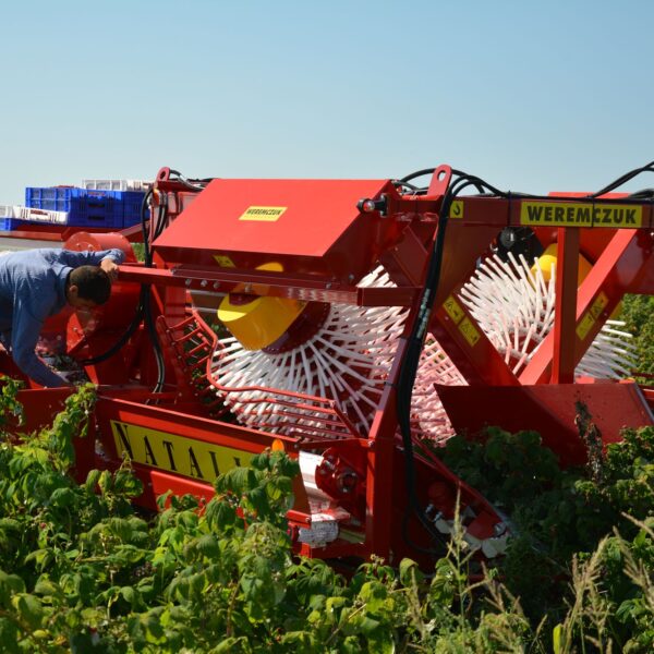 Комбайн для сбора ягод