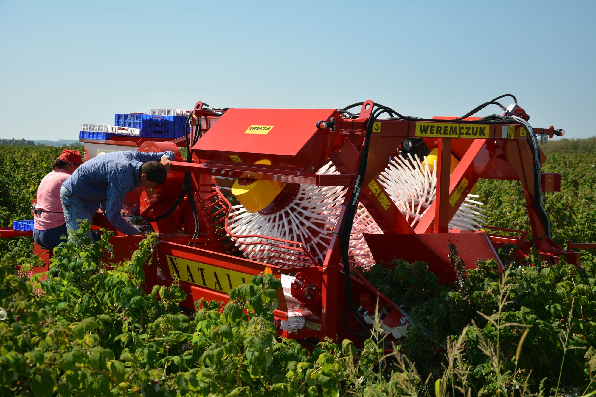Комбайн для сбора ягод